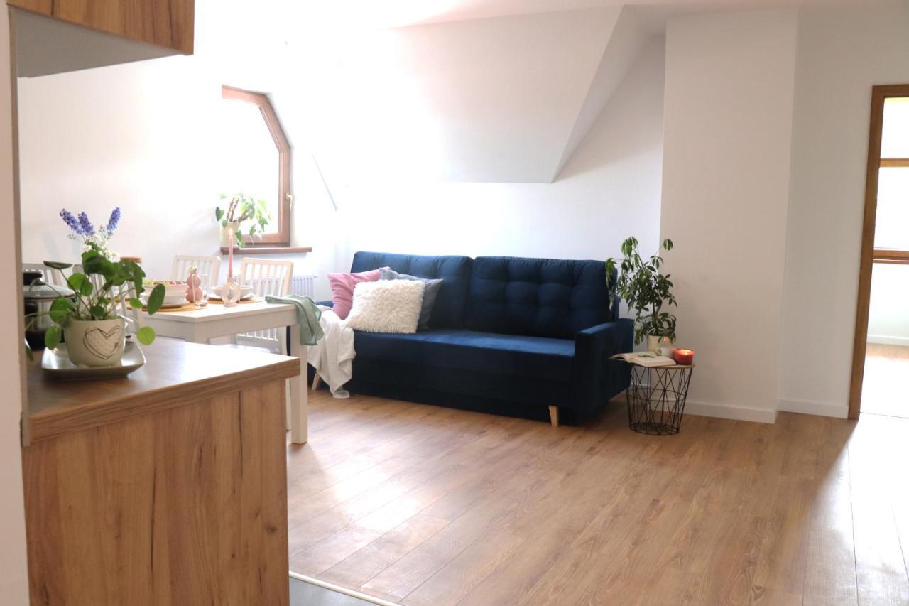 Apartamenty Pardalowka 50 Закопане Экстерьер фото